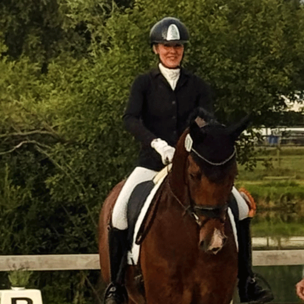 Dressurstall Sessler